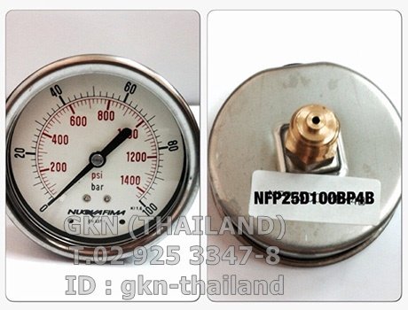 Pressure Gauge Nuova Fima